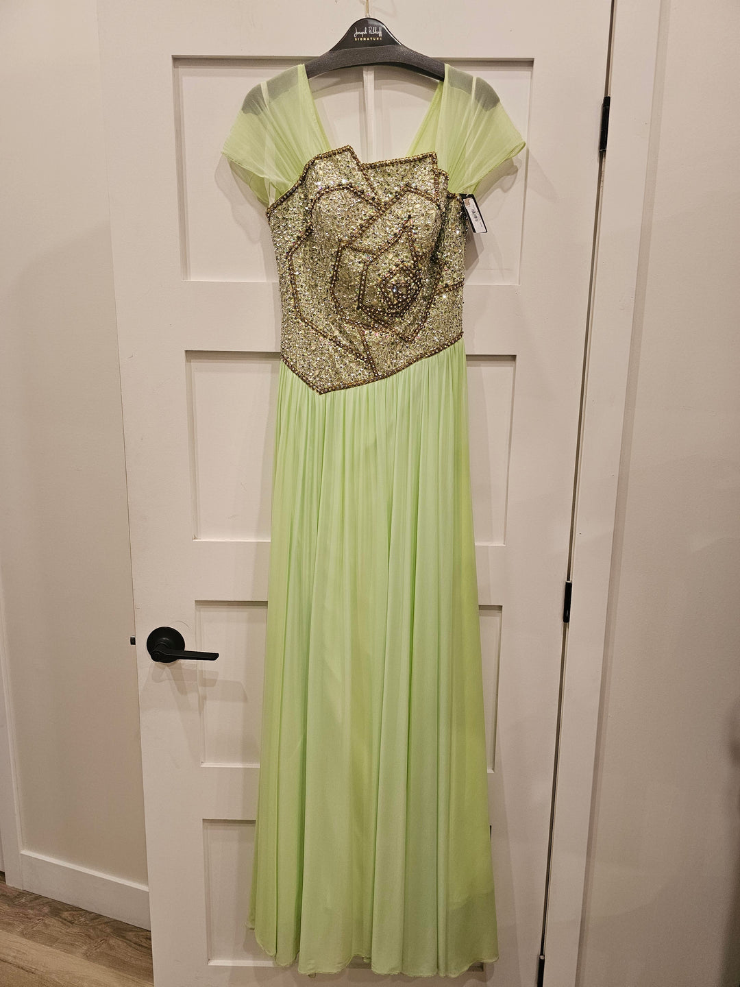 Terani gown 6059