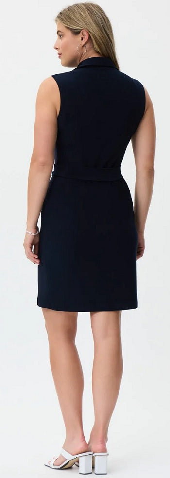 Joseph Ribkoff 231196 Dress