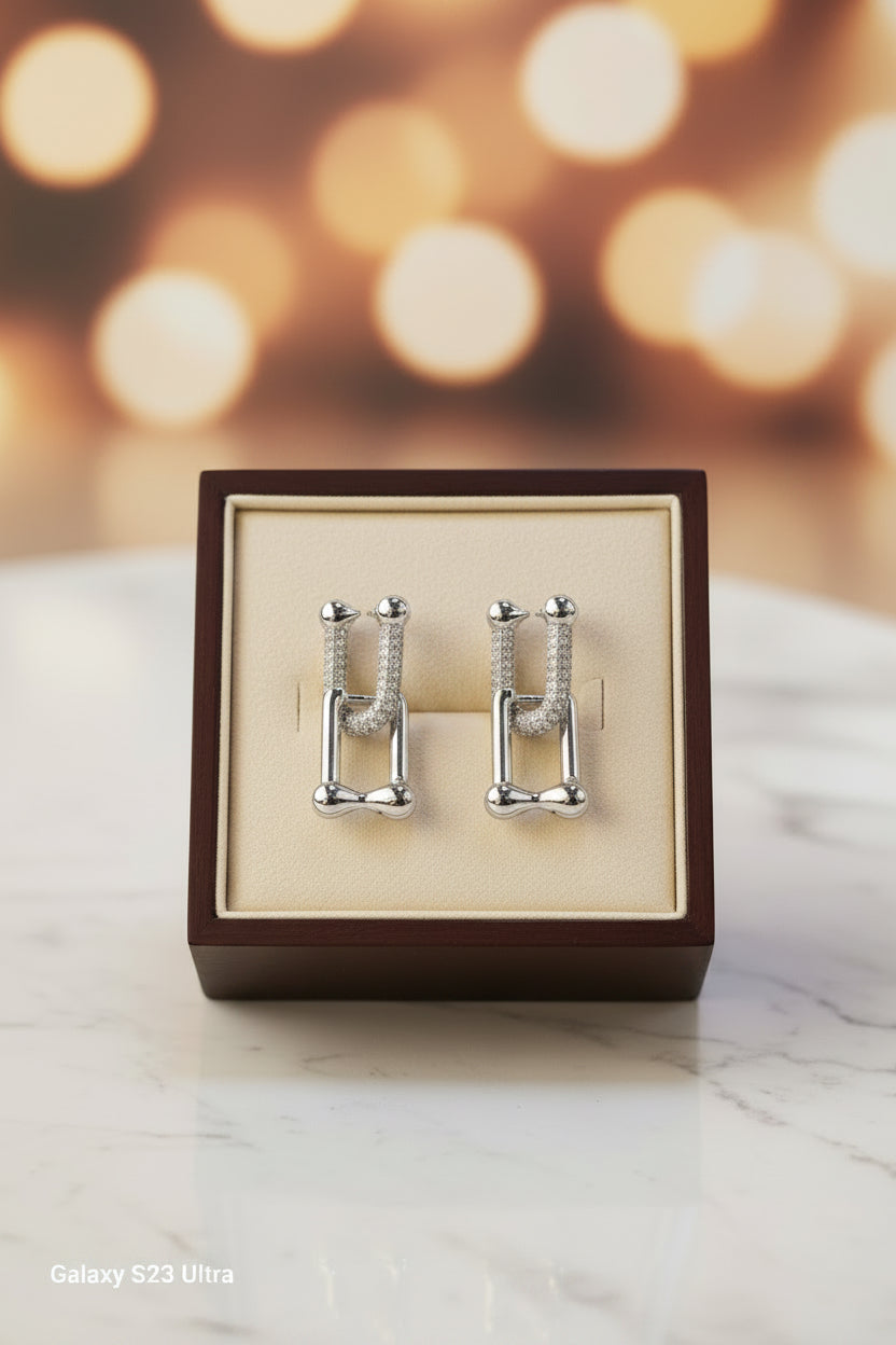Fashion Lockets Earrings