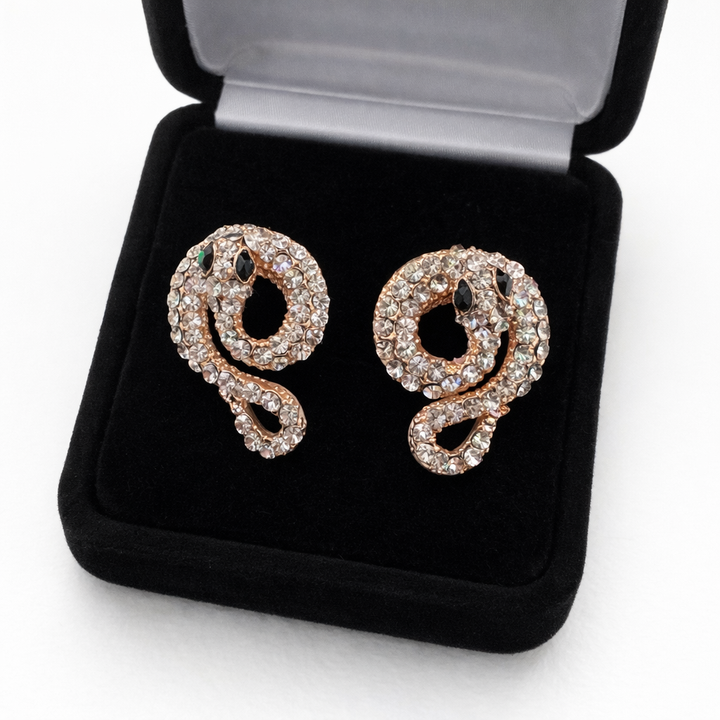 Fashion Jewelry Earrings 8419