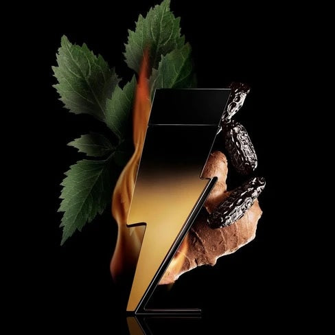 Carolina Herrera Bad Boy Extreme EDP