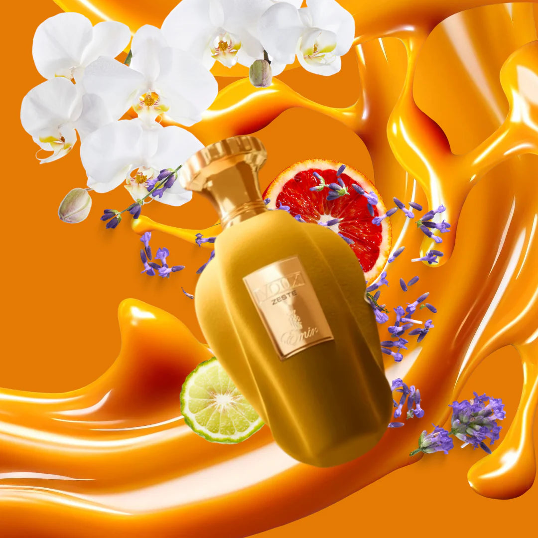 Voux Zeste PARIS CORNER