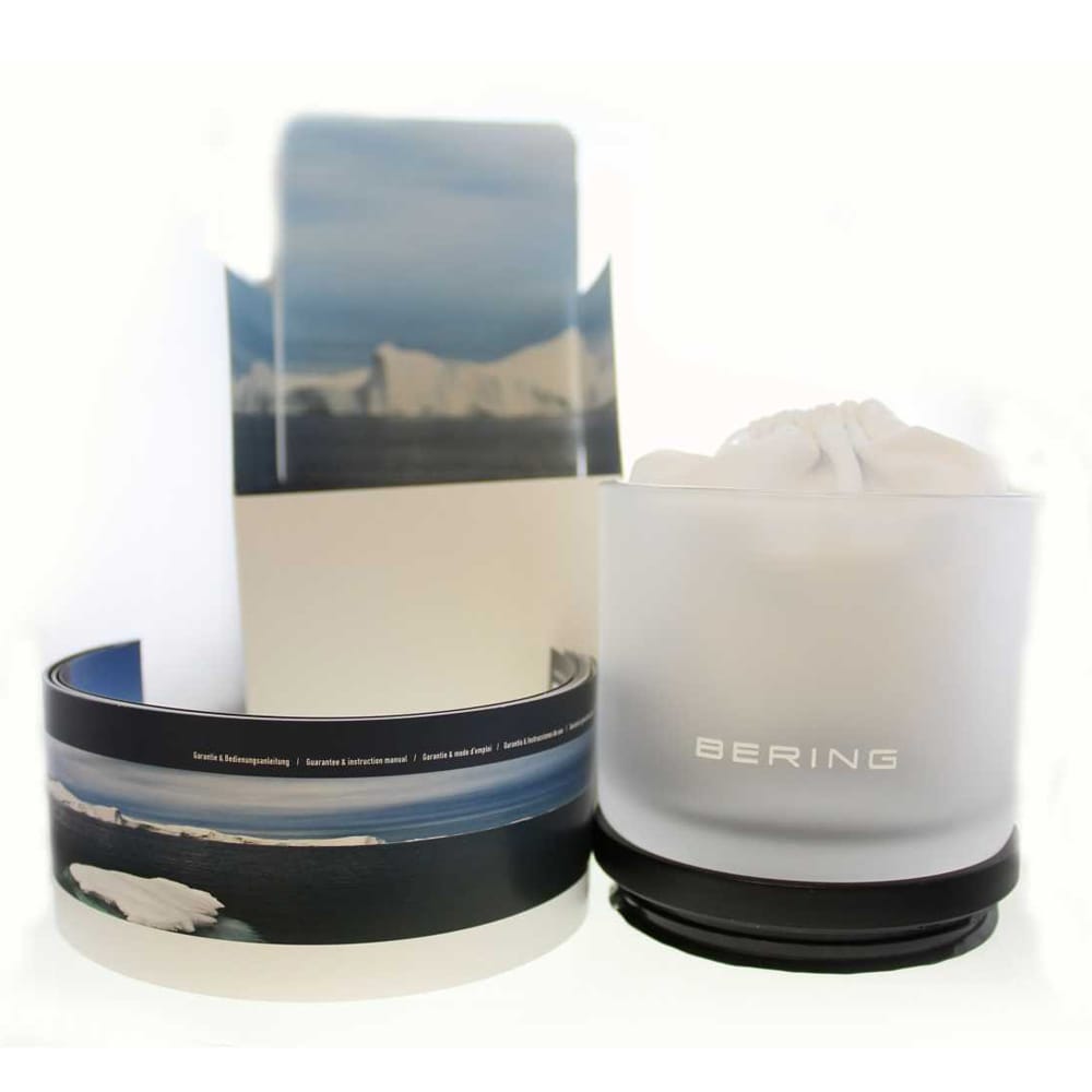 BERING – Classic Men’s Bracelet Watch 11938-001