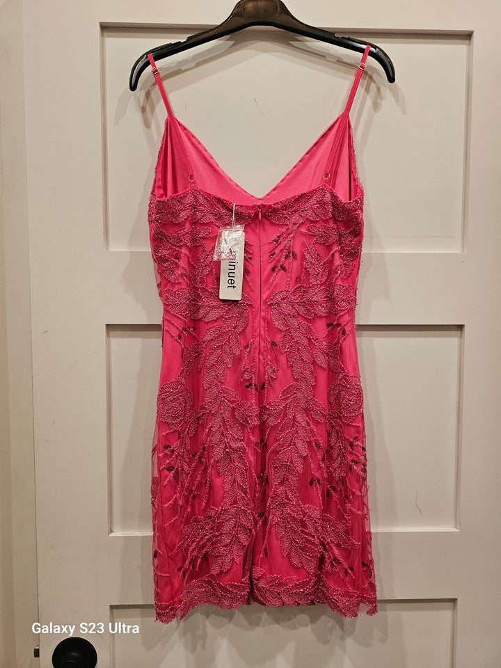 Minuet 2525 dress