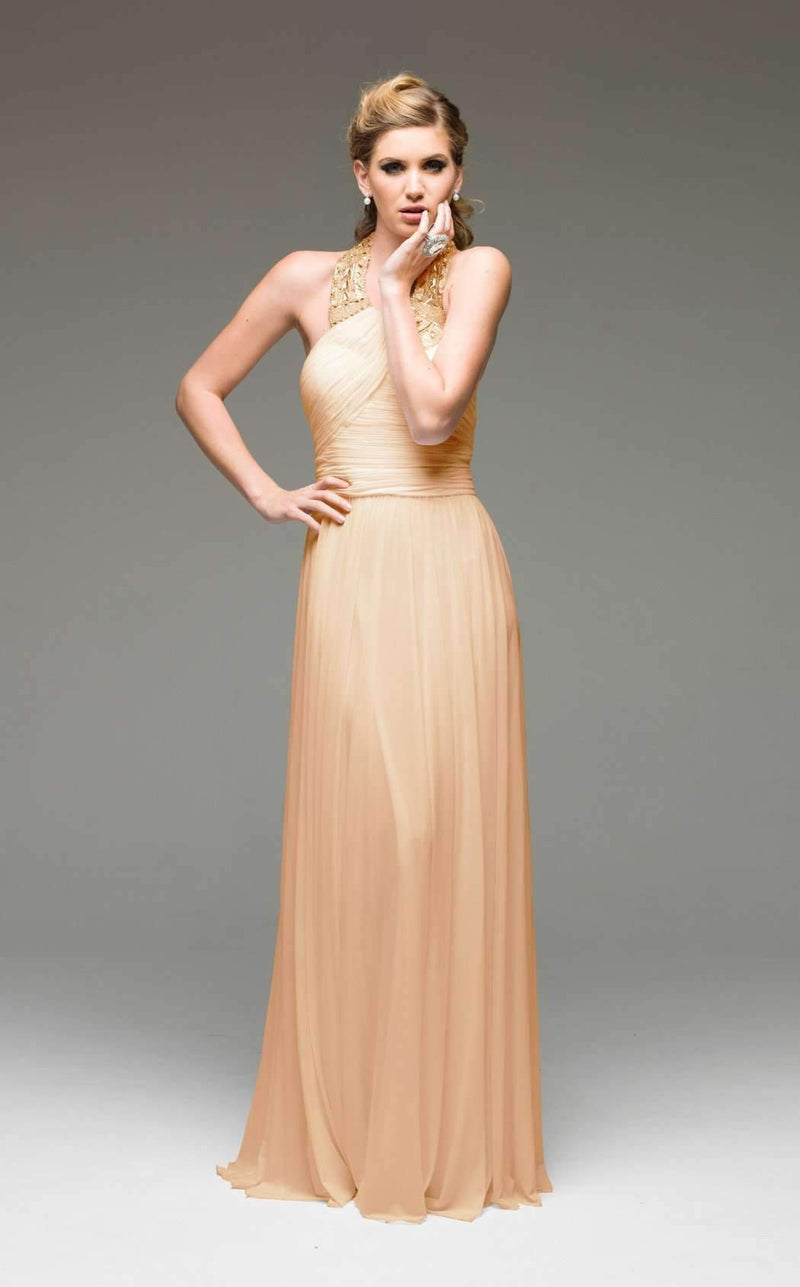 Jadore Evening Long Dress